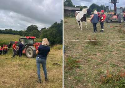 The rescue took around four hours Pictures: Somerton Fire Station