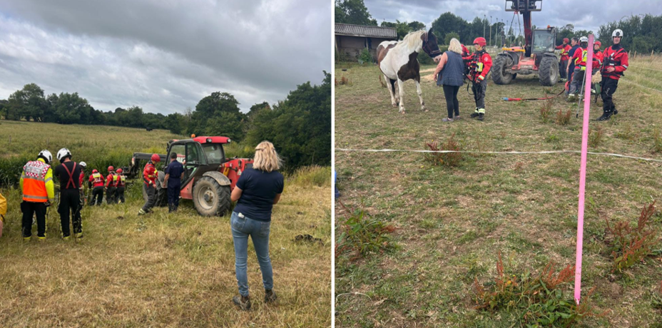 The rescue took around four hours Pictures: Somerton Fire Station