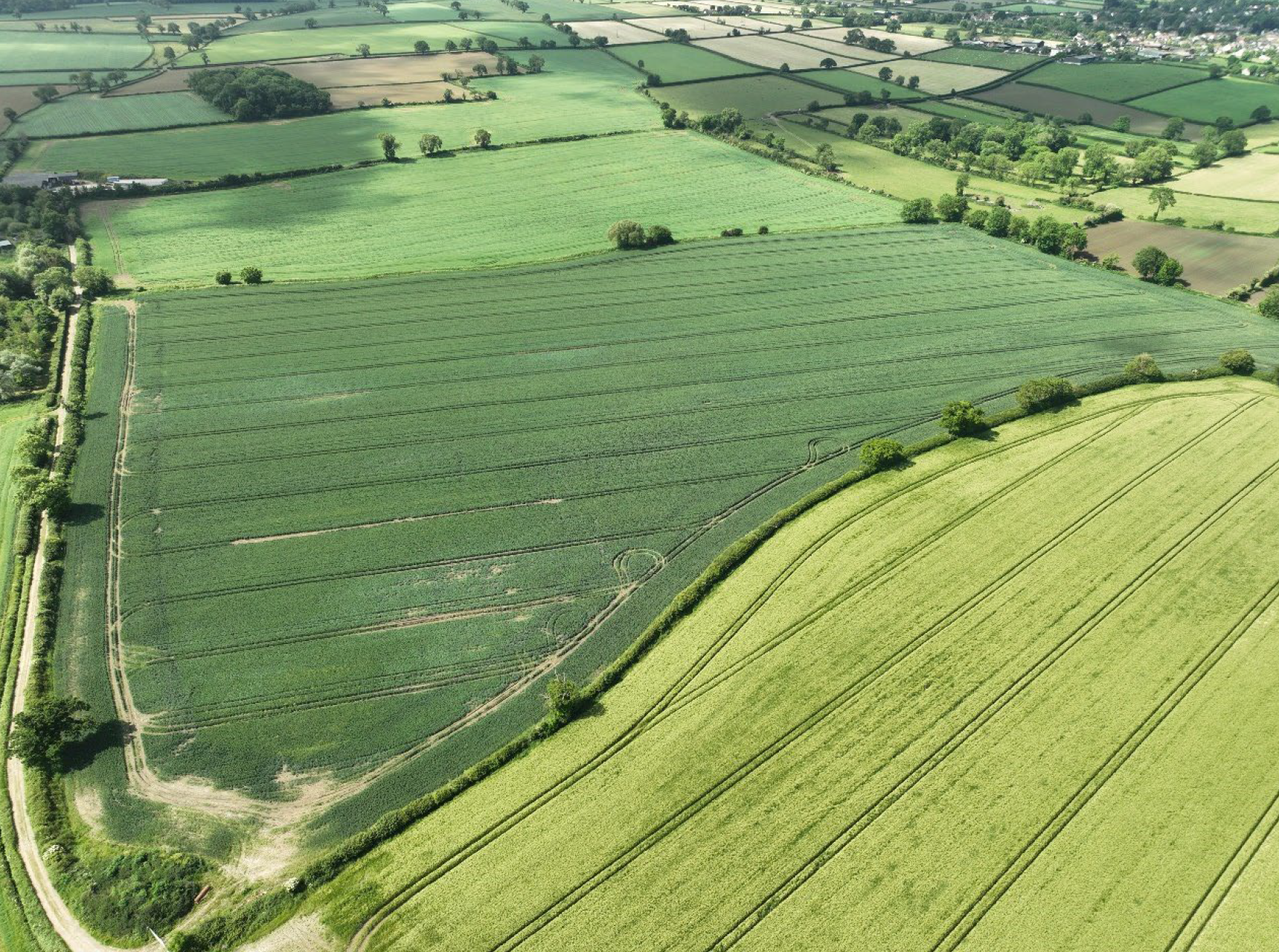 The new site would cover around 25 hectares of the Somerset Levels. Picture: Wessex Water/Somerset Council