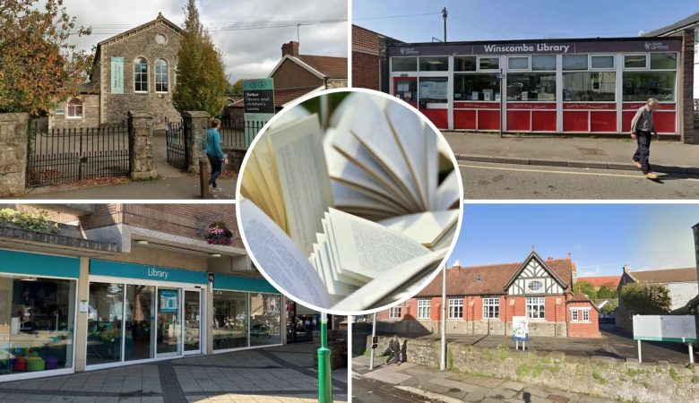 People gave their views on the future of North Somerset libraries. Pictures: Google/Pixabay