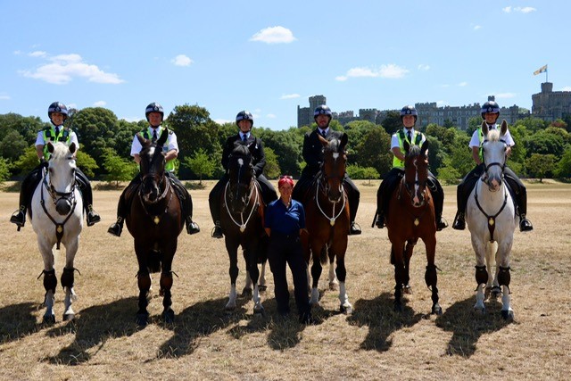 Police Horses from Avon & Somerset assisted with the state visit this week. Pictures: Avon & Somerset Police