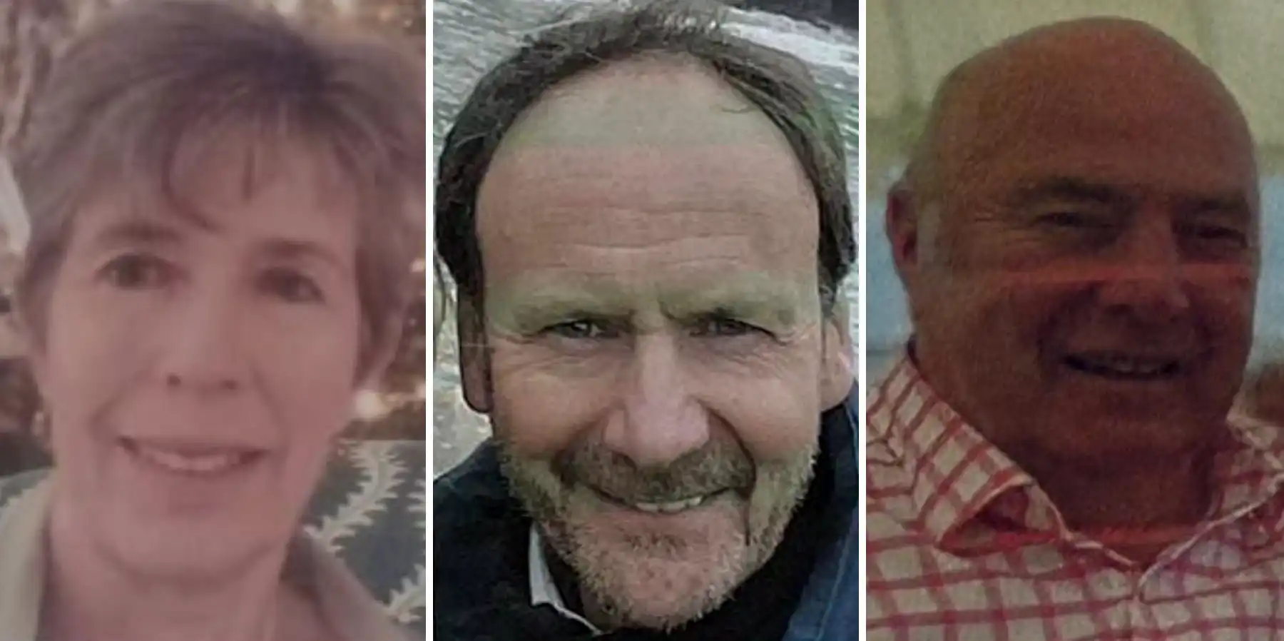 Jane Cattermull, Paul Harcourt and Richard Sealey are the candidates who did not resign in May...