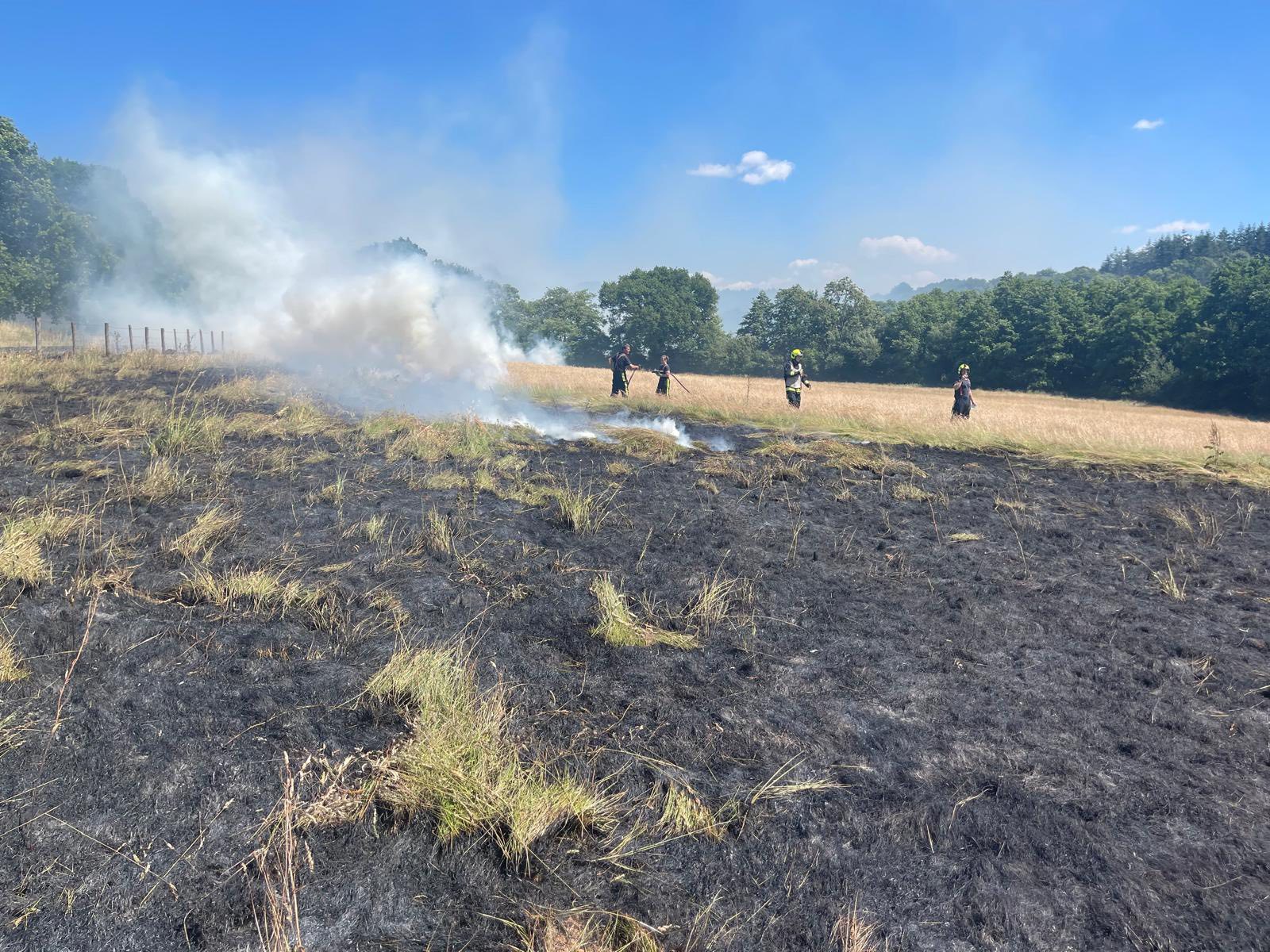 Firefighters caught a glimpse of the Flying Scotsman after tackling incidents in Crowcombe. Pictures: Taunton Fire Station