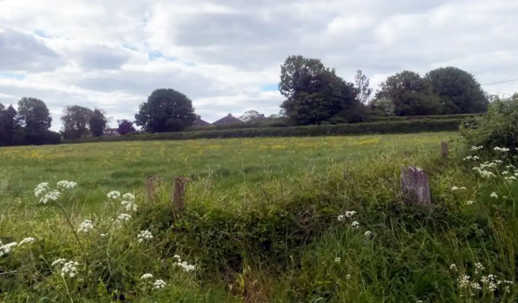 The South Cheriton site is currently agricultural land, the application said. Picture: Orme/Somerset Council