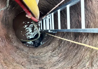 Jackson the black Lab was rescued from the well by firefighters. Picture: Taunton Fire Station