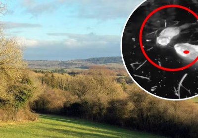 The baby beaver - known as a kit - was caught on camera at Heal Somerset, between Bruton and Frome. Picture: Heal Somerset