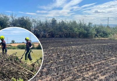 Crews fought the flames in a field near Hestercombe House. Picture: Taunton Fire Station