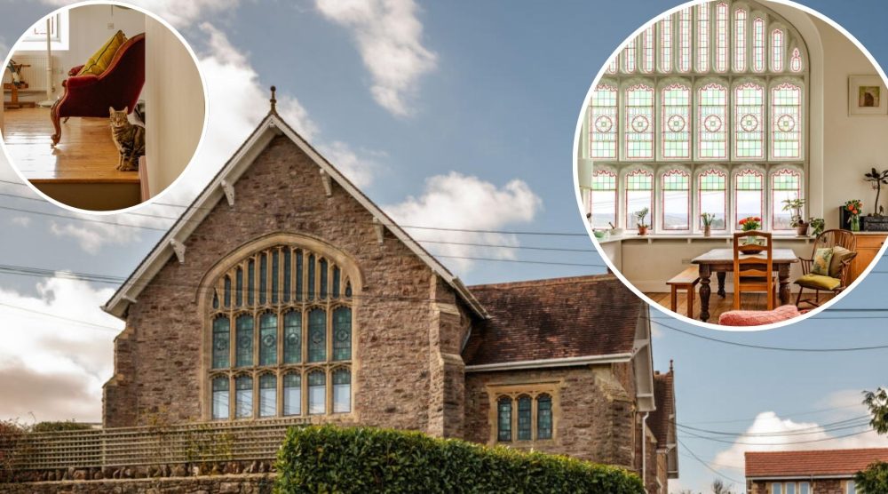 Sadly, the cat is not included...