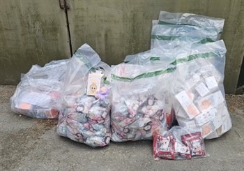 THe fake Labubu dolls were seized from premises in Weston-super-Mare, Somerset. Picture: NSC