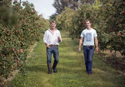 In the Harry's Cider orchards in Somerset. Picture: Bill Bradshaw