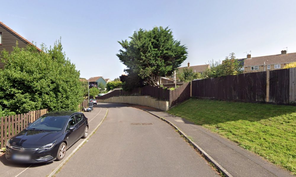 Mr Lawson lived in Mare Lane, off Holbrook Park, South Petherton. Picture: Google