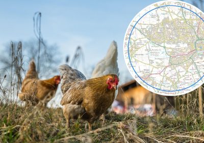 Restrictions are in place around the premises near Yeovil. Pictures: Pixabay/Defra