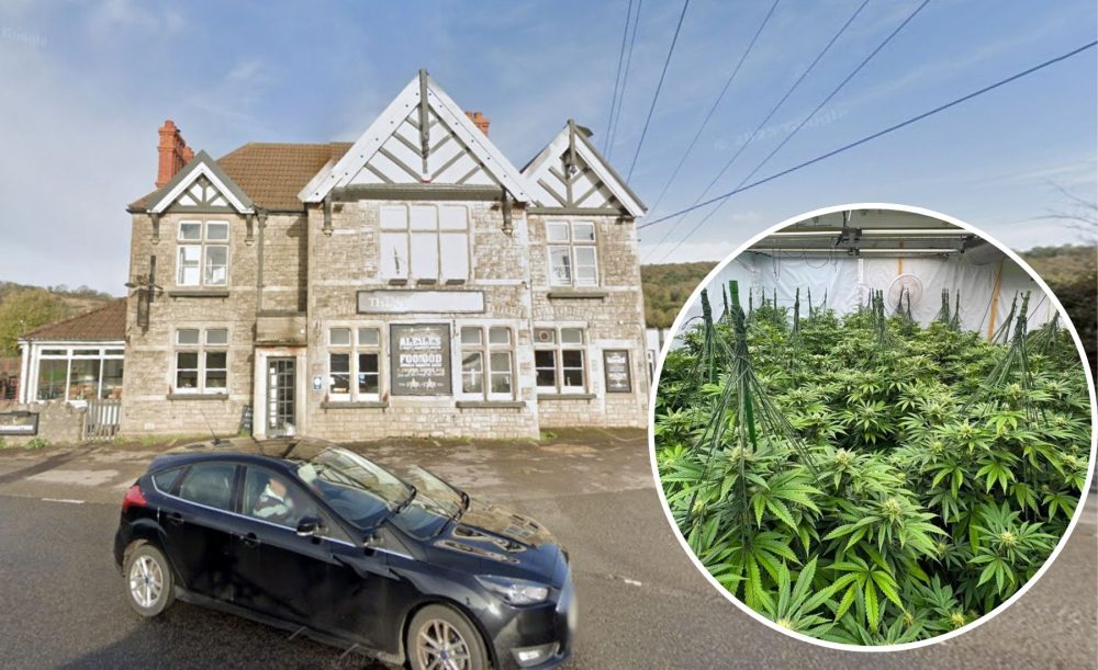 The plants were found at the former Star Inn, in Tickenham. Pictures: Google/Avon & Somerset Police