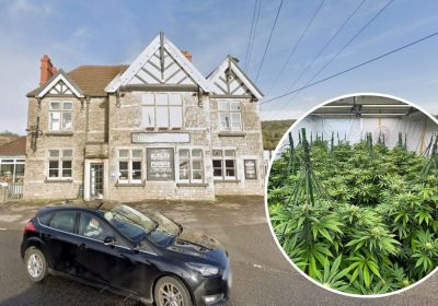 The plants were found at the former Star Inn, in Tickenham. Pictures: Google/Avon & Somerset Police
