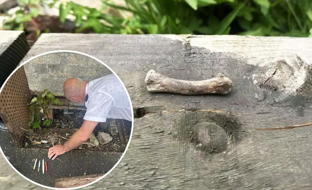 The bone was found in a drain at Shepton Mallet Prison