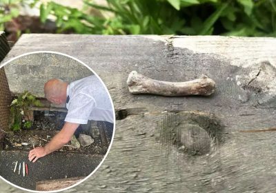 The bone was found in a drain at Shepton Mallet Prison