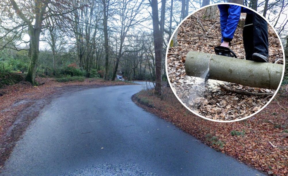 Tree works will close Wellington Hill. Picture: Google