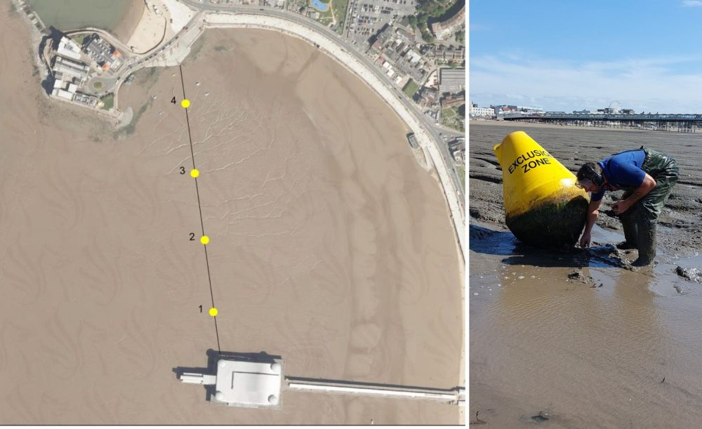 The race is on to name the buoys in Weston! Pictures: Weston Seafront