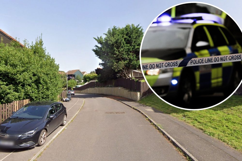 Police were called to Holbrook Park, South Petherton, on August 22. Picture: Google