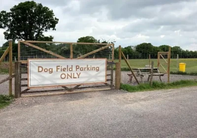 Permission has been given for Walkies Dog Field, in Emborough, to continue operating. Picture: Salmon Planning Company/Somerset Council