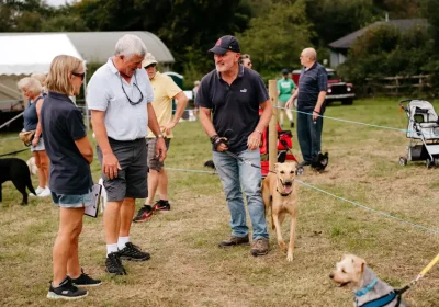 Ferne Dog Show will run on Sunday, September 7, near Chard