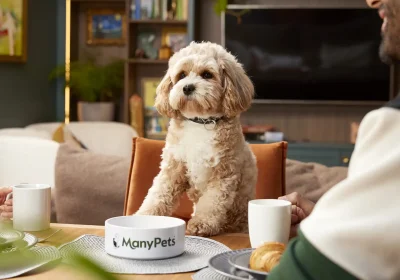 Doggie diners have been enjoying the Bill's Cafe at Clarks Village in Street