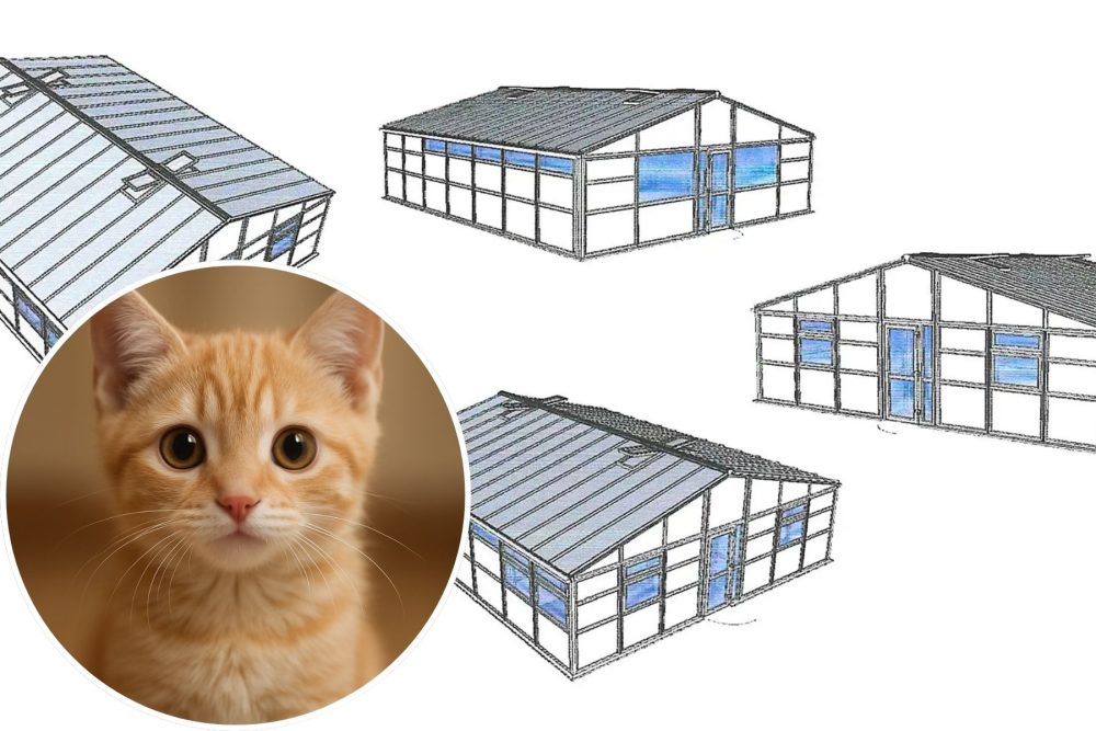 Plans for proposed new cattery at Rodney Stoke, near Cheddar