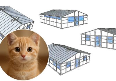 Plans for proposed new cattery at Rodney Stoke, near Cheddar