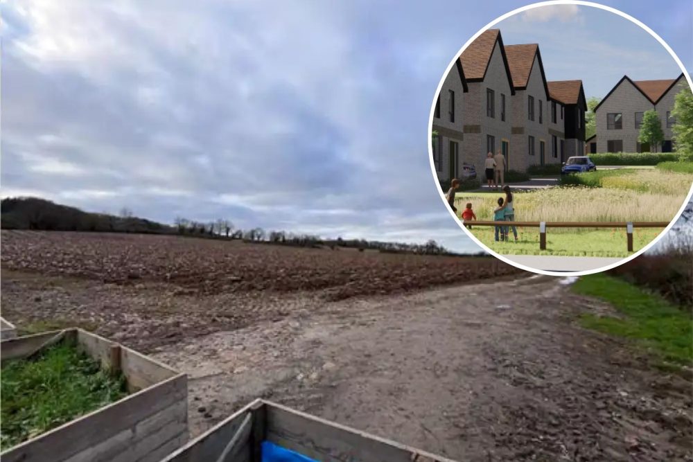 More than 60 homes could be built on the 8.4-acre site near Stoke sub Hamdon. Picture: GTH/Pad/Somerset Council