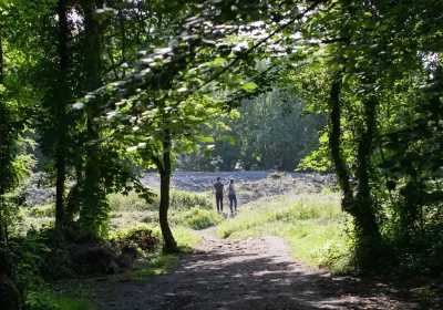 Footpaths around Weston Woods will be closed during the work. Picture: North Somerset Council