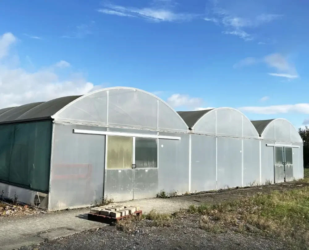 A three-bay polytunnel sold for more than £7,000 ni the Brookfield Nursery sale. Picture: GTH