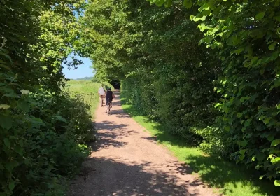 Could you help maintain the path between Ilminster and Chard? Picture: Somerset Council