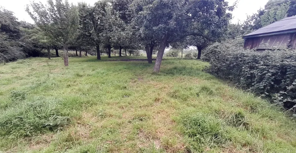 A plot at Edmund Hill, Glastonbury, sold for three times the guide price. Picture: GTH