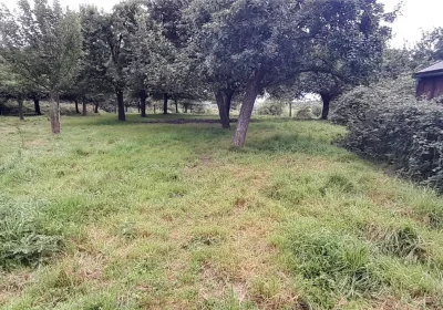 A plot at Edmund Hill, Glastonbury, sold for three times the guide price. Picture: GTH