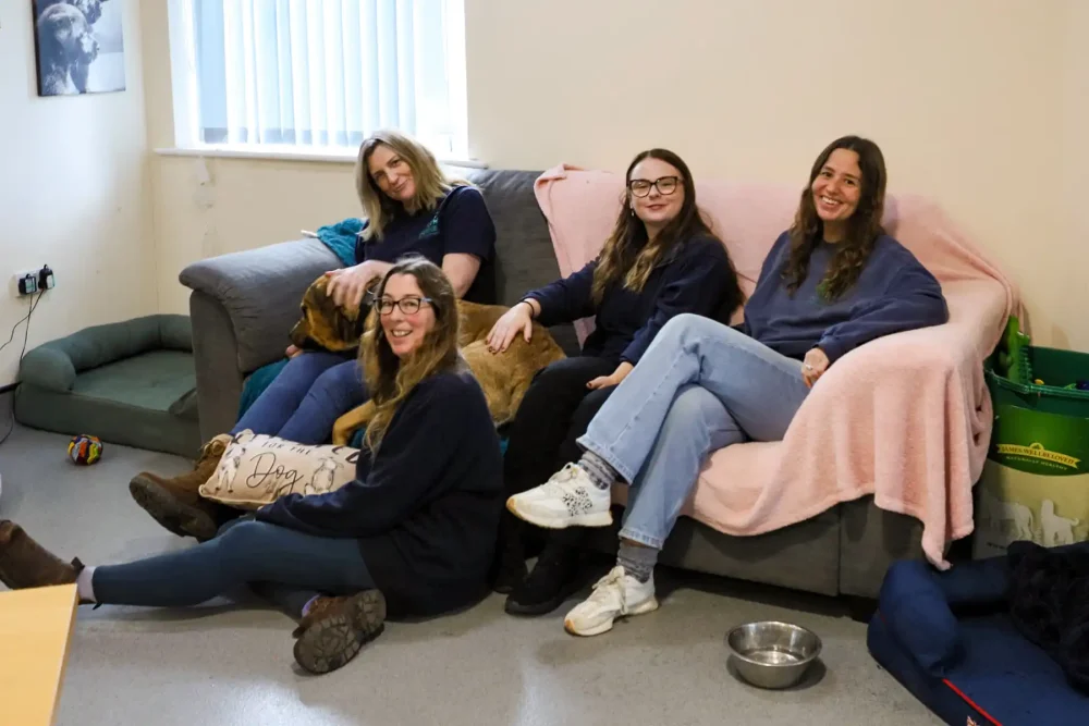 Members of the Ferne Animal Sanctuary team preparing to sleep 'ruff'