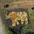 Around 11,000 pumpkins and gourds were used to create the mosaic. Pictures: Noah's Ark Zoo Farm