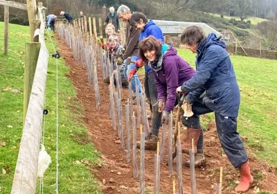 Trees and hedges are being planted across Somerset. Picture: RtL