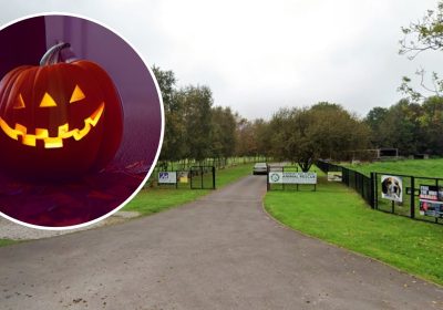 Somerset & Dorset Animal Rescue will host the Halloween event on October 26. Picture: Google/Pixabay