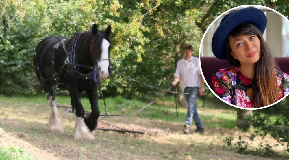 James Foster, and shire horses Dime and Flynn, are set to start work in Frome next week on the woodland in memory of Moko Sellars, inset