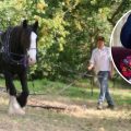 James Foster, and shire horses Dime and Flynn, are set to start work in Frome next week on the woodland in memory of Moko Sellars, inset