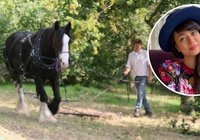 James Foster, and shire horses Dime and Flynn, are set to start work in Frome next week on the woodland in memory of Moko Sellars, inset