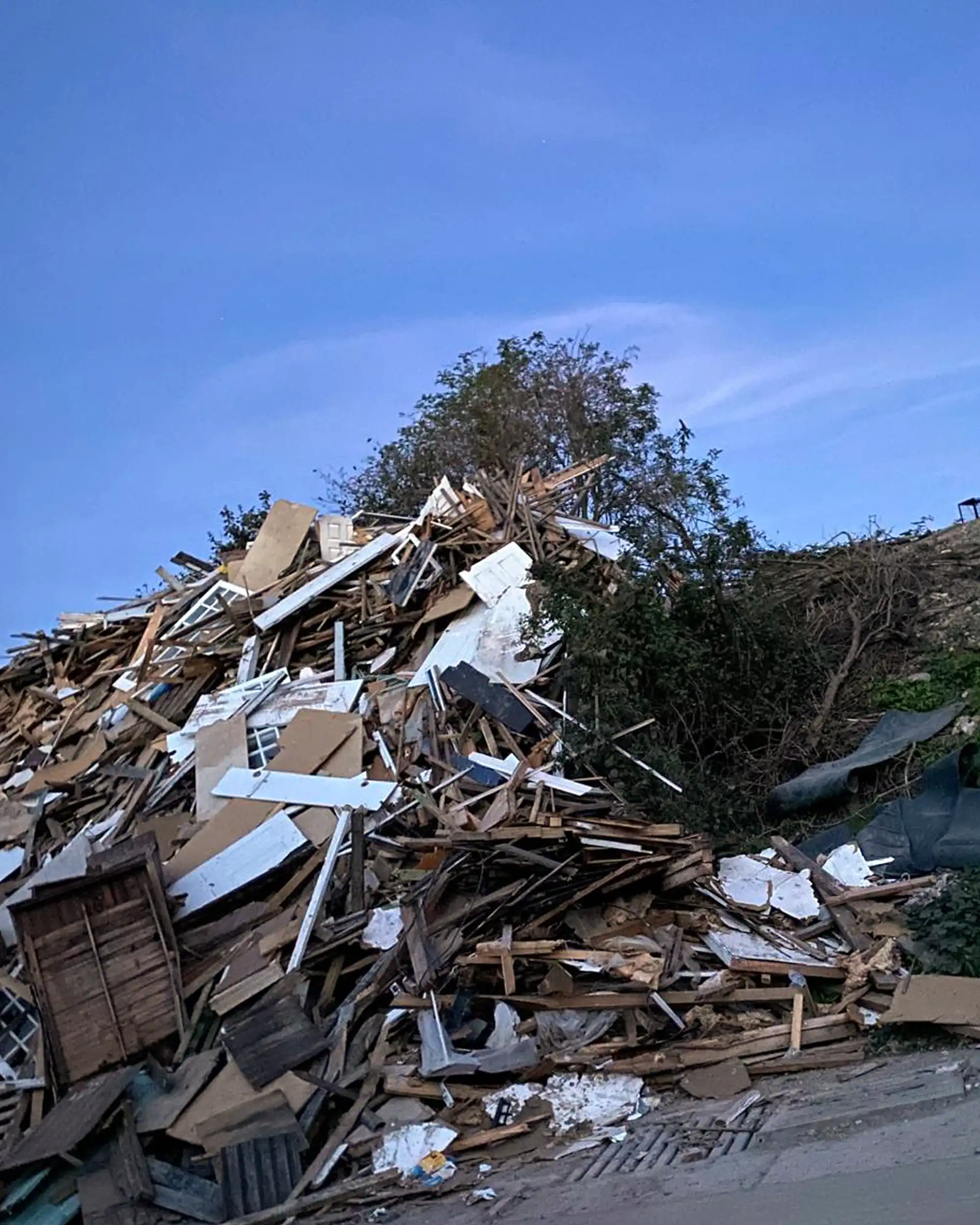 Rebecca heard meows from this giant woodpile at the Somerton site... Picture: Cats Protection