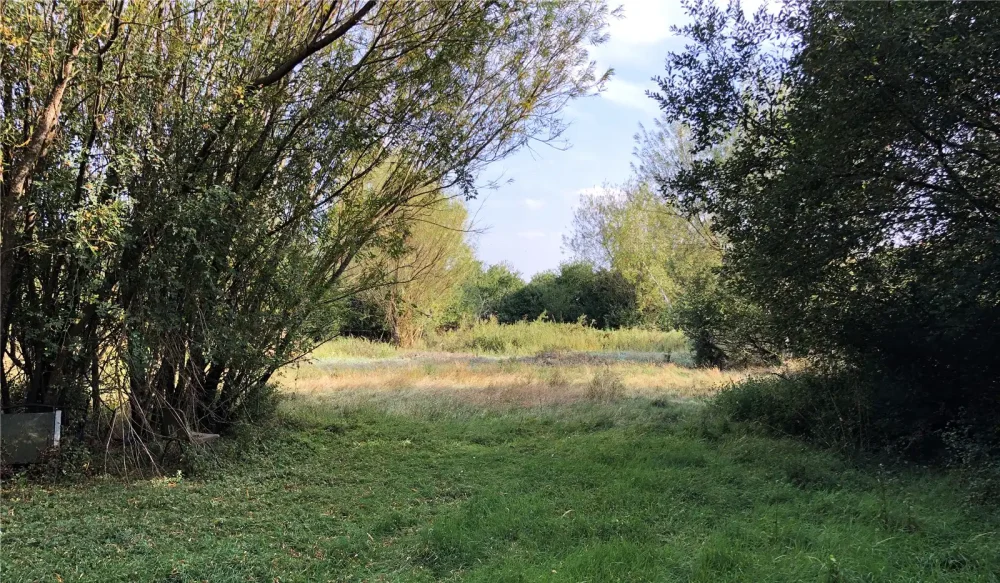 A three-acre plot at Templecombe that sold for £77,000 at auction. Picture: GTH