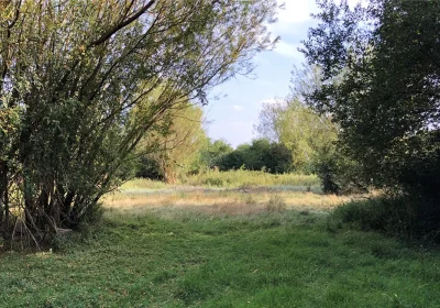 A three-acre plot at Templecombe that sold for £77,000 at auction. Picture: GTH