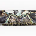 The Arcadia skateboard is up for auction as part of the Wells Skatepark fundraiser