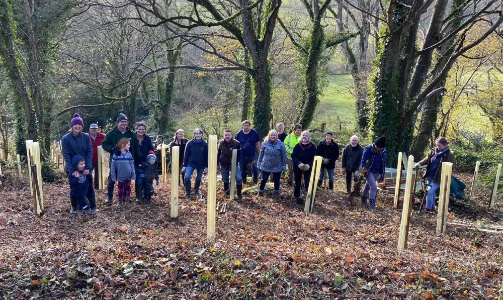 COmmunity tree planting will take place at Pitt Wood, on November 29. Picture: Somerset Council
