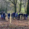 COmmunity tree planting will take place at Pitt Wood, on November 29. Picture: Somerset Council