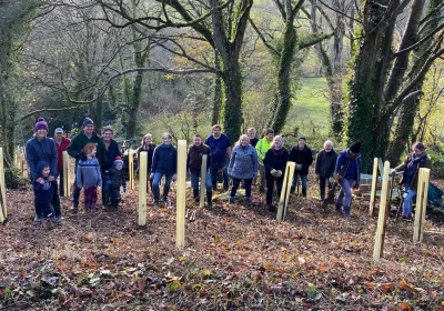 COmmunity tree planting will take place at Pitt Wood, on November 29. Picture: Somerset Council