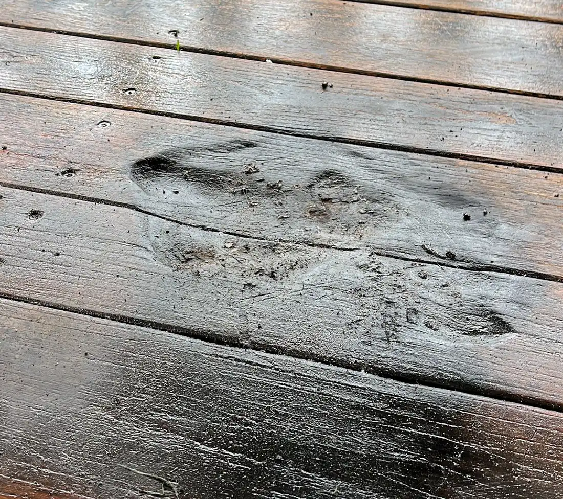 Damage at the play area in Bridgwater. Picture: Bridgwater Town Council