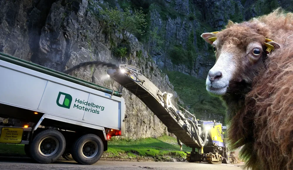 Rare-breed sheep were among challenges faced by workers at the Cheddar Gorge site... Pictures: Somerset Council/Pixabay